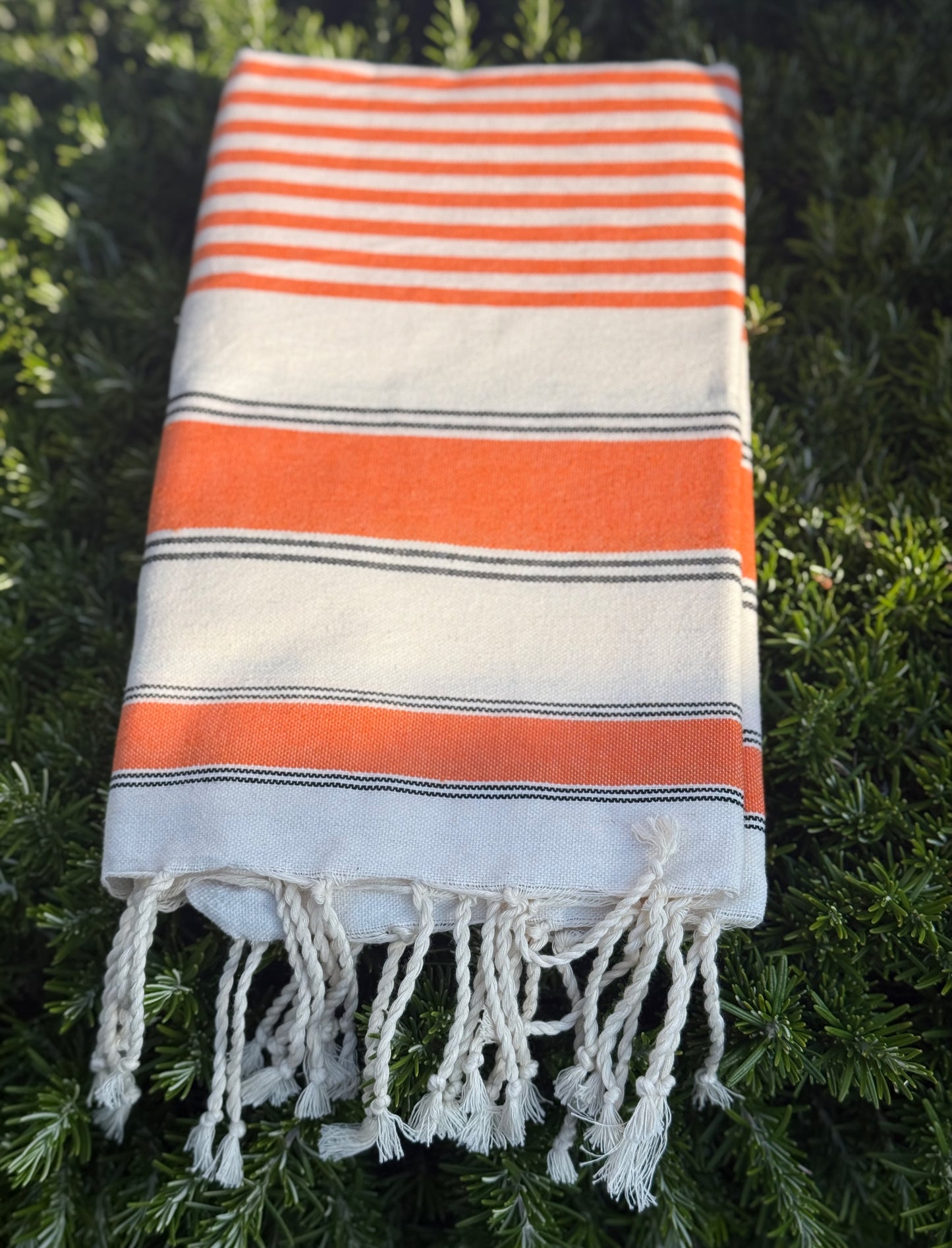 TELO MARE 100% COTONE | Pennoni Home