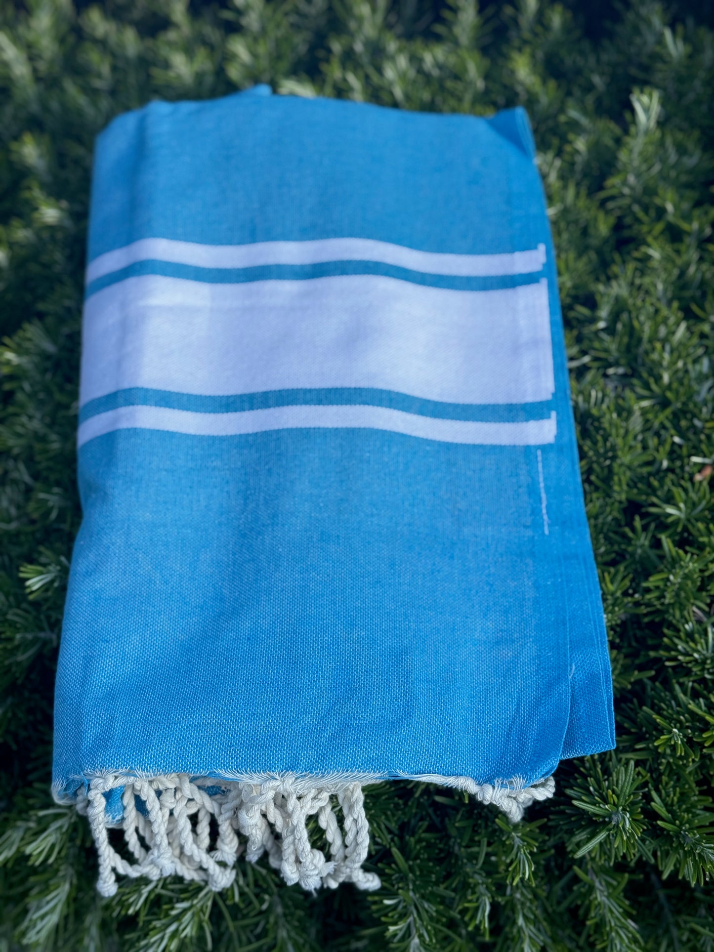 TELO MARE 100% COTONE | Pennoni Home