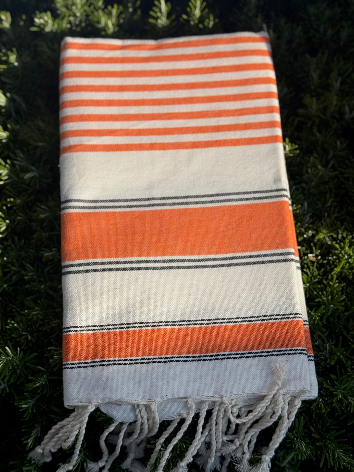TELO MARE 100% COTONE | Pennoni Home